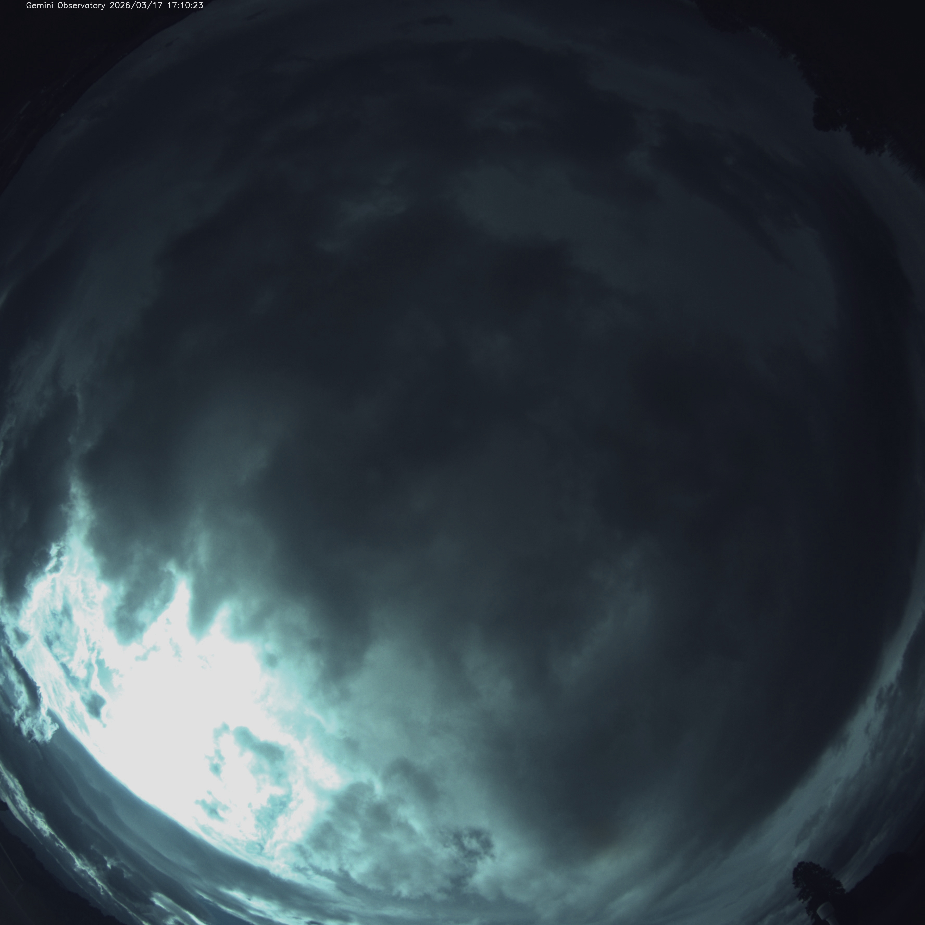 gemini_071 2026-03-17 17:10:23